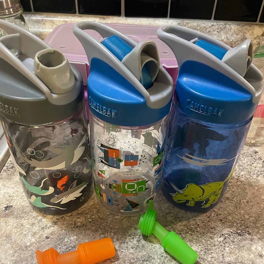 camelbak water bottle bundle